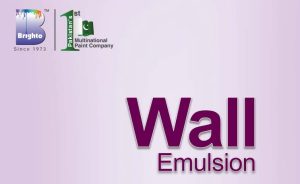 brighto wall emulsion price pakistan